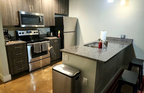 Monroe Ward Condo | Heart of the Arts - New King Suite on West Broad Condo’s next to Quirk MCV VCU
