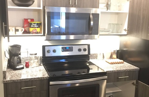 Monroe Ward Condo | Heart of the Arts - New King Suite on West Broad Condo’s next to Quirk MCV VCU