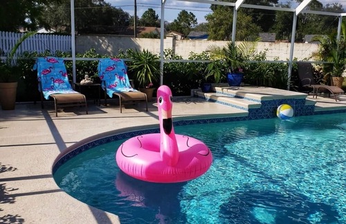 Citrus Park House | Heated pool house