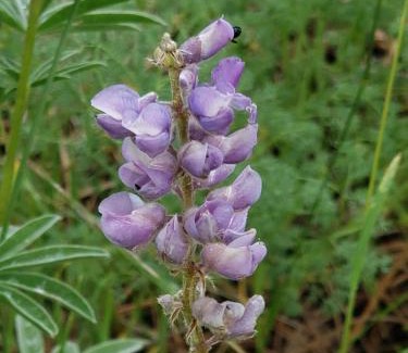 New Meadows Ski Chalet | Heaven The biggest best vacation lodge, sleeps twenty four