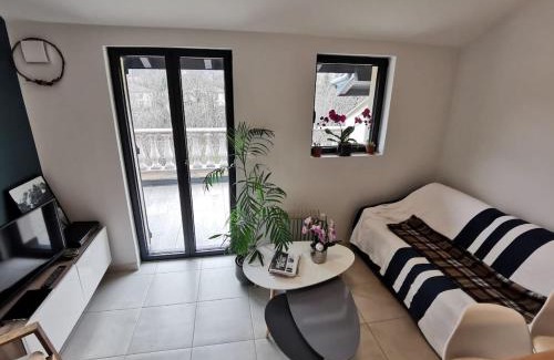 Gex Apartment | Hebergeneve Les Terrasses