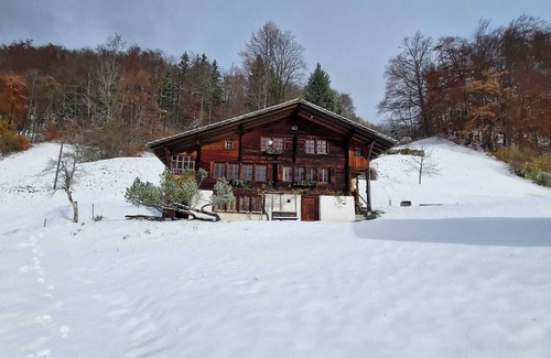 Schwanden bei Brienz Apartment | Helen's Appartment