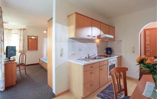 Kitzbuehel Apartment | Helle Ferienwohnung Kirchberg