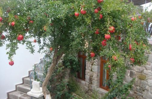 Bergama Hotel | Hera Hotel