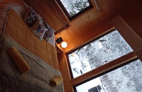 Pinto House | Hermosa casa en medio del bosque