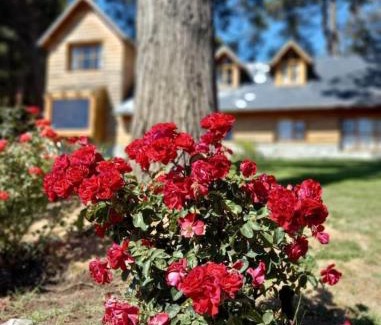 San Carlos de Bariloche Apartment | Hermosas Cabañas con vista al Nahuel Huapi