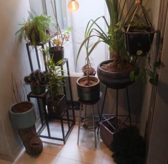San Luis Apartment | Hermoso mini dpto en San Luis Lima
