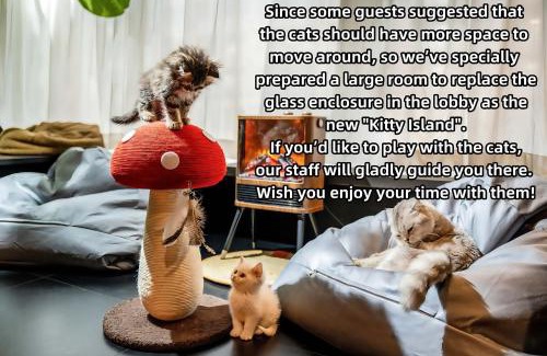 Beilin Hotel | HeSu Hotel & Suites - Near The Bell Tower & Yongning Gate & Xi'an City Wall - Spacious rooms featuring King or Double Queen beds - Exclusive 2&3-Bedroom Family Suites with Expansive Living Rooms - Cat Café-Curated Itineraries - The Ultimate All-Show Deal