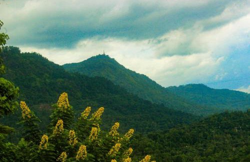 Ganga Ihala Korale Cabin | HEYCOCK CEYLON HlLL