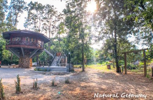 Nong Nam Daeng House | Hidden Treehouse in Khao Yai (8 PAX)