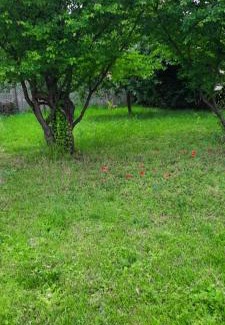 Rakosszentmihaly Apartment | Hideaway house with garden & free parking