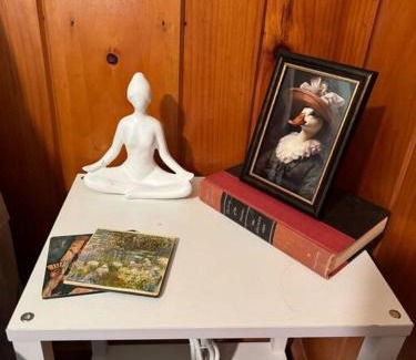 Brevard House | Hideaway on Hilton with Larry the Llama and Donkey