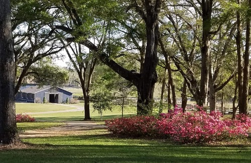 Citra Apartment | "HIDEOUT" 2-bedroom Downstairs Apartment In Gated Horse Farm