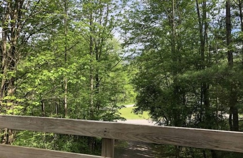 Lanesville Cabin | HIKING, Pool, Tennis: Hunter, Wyndham, Belleayre area: ON West Kill-Hunter Trail