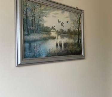 Ballinamuck Apartment | Hillside House- Pine View