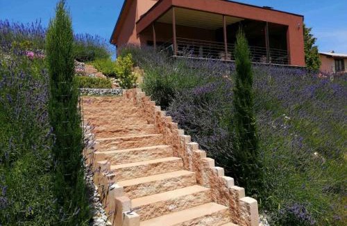 Strigova House | HillTop House