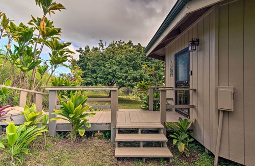 Hilo Apartment | Hilo Couples Retreat ~ 6 Miles to Honoli'i Beach!
