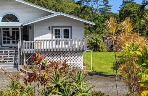 Hilo Apartment | Hilo Luxury Suite