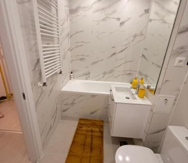 Sector 3 Apartment | Hils Pallady 9