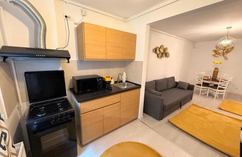 Sector 3 Apartment | Hils Pallady 9