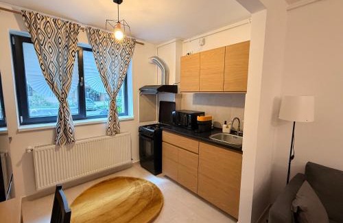 Sector 3 Apartment | Hils Pallady 9