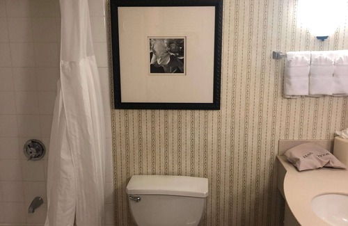 Addison Hotel | Hilton Garden Inn Addison