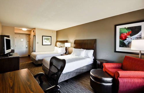 Temple Terrace Hotel | Hilton Garden Inn Tampa North Busch Gardens