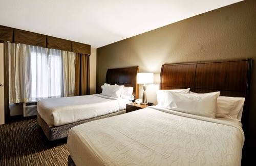 Temple Terrace Hotel | Hilton Garden Inn Tampa North Busch Gardens