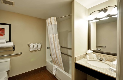 Temple Terrace Hotel | Hilton Garden Inn Tampa North Busch Gardens