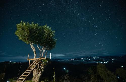 Almora Hotel | Himadvaya- The Himalayan Prism