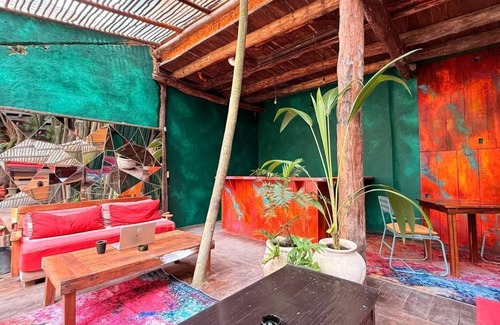 Zona Hotelera Hotel | Hippie Chit Jungle Hotel