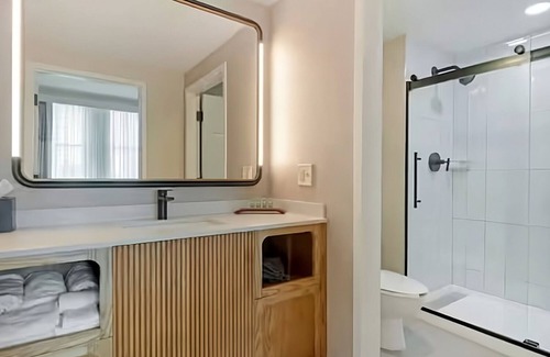 Downtown Tampa Hotel | Historic Charm with Modern Luxury! Experience Tampa