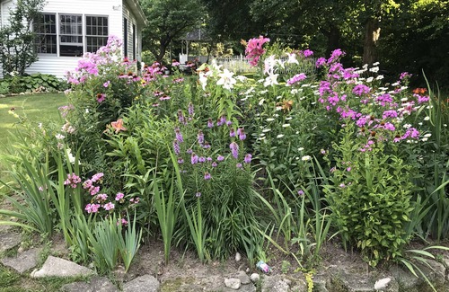 South Bend Cottage | Historic property is a comfortable, peaceful, and safe place to stay.