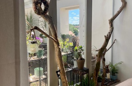 Werder Apartment | Historisches Loft auf der Insel am Wasser