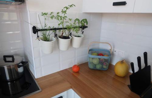 Spisska Nova Ves Apartment | Hniezdo v Raji 1 - Luxurious apartment 3 min walk to city center