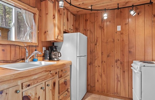 Custer Apartment | Hobbit Hole: Needle Spire Views + Firepit + Sauna