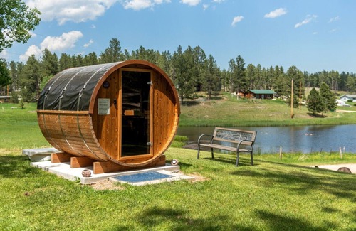 Custer Apartment | Hobbit Hole: Needle Spire Views + Firepit + Sauna