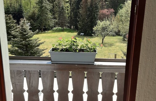 Bad Sachsa Apartment | Hochwald-Riant apartment with balcony on the garden side