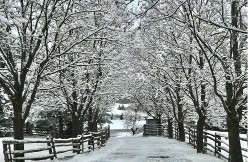 Adjala-Tosorontio House | Hockley Hideaway Farm Stay!n