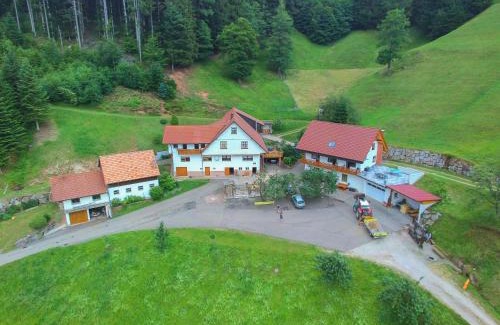 Bad Peterstal-Griesbach Apartment | Holderstanzenhof