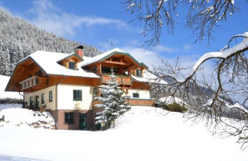 Schladming Apartment | Holdhäusl
