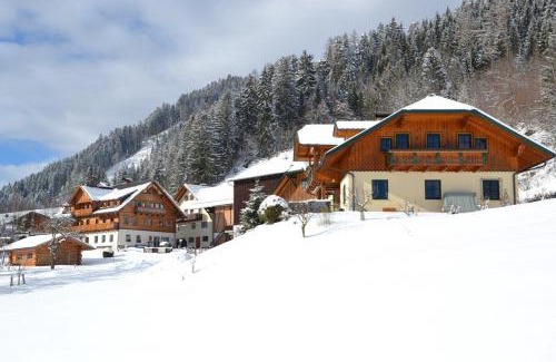 Schladming Apartment | Holdhäusl