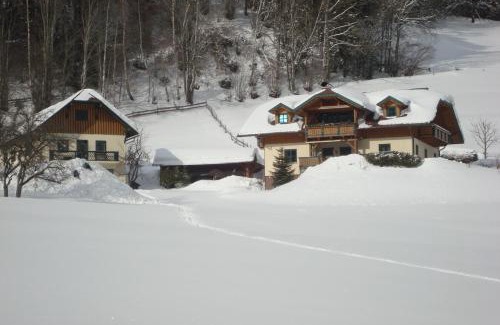Schladming Apartment | Holdhäusl