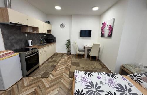 Olomouc Apartment | Holičák