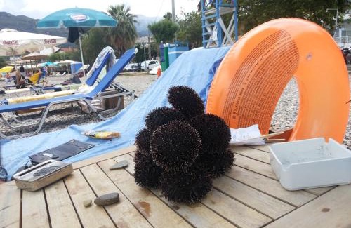 Rio Apartment | Holiday and Business Home