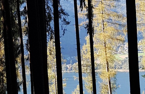 Ossiach Apartment | Holiday and relaxation on the Ossiacher See