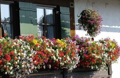 Bad Bayersoien Apartment | Holiday apartment Bad Bayersoien for 1 - 2 persons with 1 bedroom - Holiday apartment