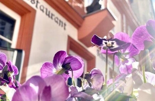 Ansbach Apartment | Holiday apartment Ansbach for 2 - 3 persons with 1 bedroom - Holiday apartment in one or multi-famil