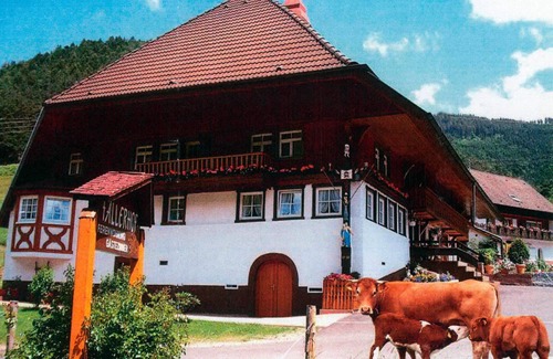 Elzach Apartment | Holiday Apartment 'Faller' with Private Terrace, Balcony and Wi-Fi