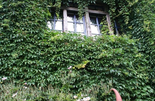 Retschow Apartment | Holiday apartment Retschow for 1 - 4 persons with 2 bedrooms - Twin house